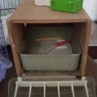 قفس