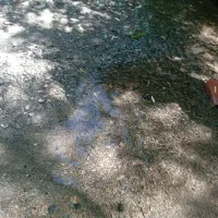 فروش زمین تجاری مسکونی در سیادک