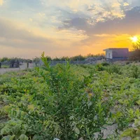 باغ ۴۲۰ متری الوسجرد فنس کشی اقساطی