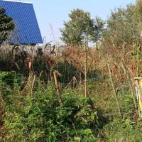 زمین مسکونی