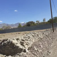 زمین-باغی