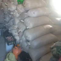جاشیر