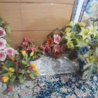 تعدادی گل