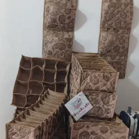 نظم دهنده جاجورابی