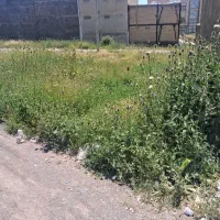 فروش زمین مسکونی