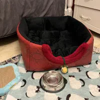 وسایل گربه