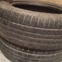 لاستیک ساینا