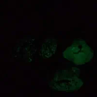 گوهر شب چراغ ۴عدد
