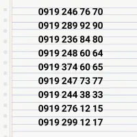 0919.299.12.17