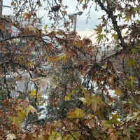 اتاق در سالن زیبایی