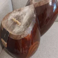 تار میرزایی
