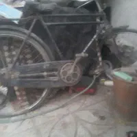 باسلام دوچرخه 28فونیکس