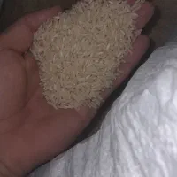 برنج عنبربو و ضیغمی