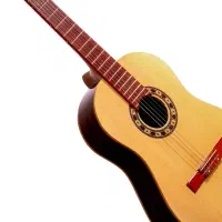 گیتار رزونانس h320درجه1