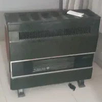 بخاری سالم
