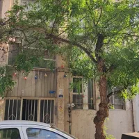 کلنگی نبرد شمالی جهت جنوبی