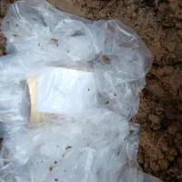 سرکتاب دفع همزاد وجذب و...