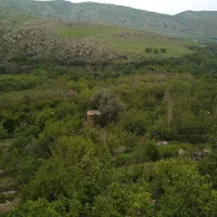 خریدوهرس انواع چوب