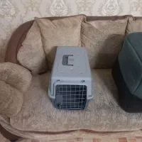 باکس و جای سگ