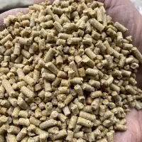 فروش دان پلت مرغ گوشتی،تخمگذار بومی پذیرش نمایندگی