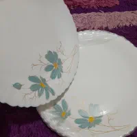اکروپال نو