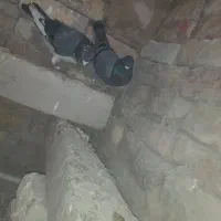 کبوتر