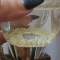 تخم ژل حلزون