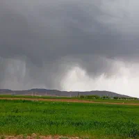جو پاییزه درجه یک