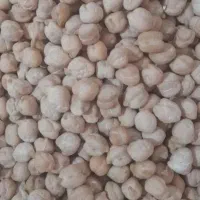 نخو تازه