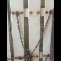 تخته جل میگو و ماهی