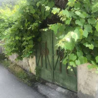اجاره ویلای دربست رامسر طالش محله فتوک