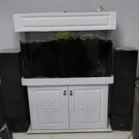 آکواریوم کمددار با وسایل