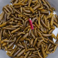 خیارشور ویژه فیت دار ونول پنیری طعم مزه خوب