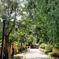 فروش-باغ-کنار-جوب-بلد-باغستان-علیا