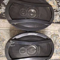باند پایونر