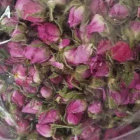 غنچه گل محمدی خشک