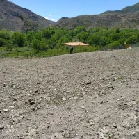 فروش-زمین-زراعی