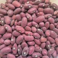 لوبیا قرمز و چیتی خریدار هستم