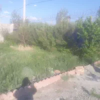 نگهبانی