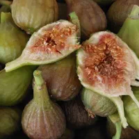 انجیر