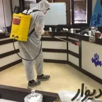 سمپاشی دائم باضمانت کتبی موریانه عقرب سوسک ساس موش