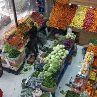 شاگرد میوه فروش اقا شیفت صبح  وصندوق دار خانم