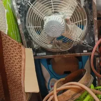 دو عدد فن
