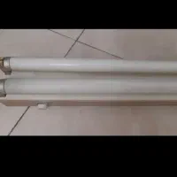 مهتابی