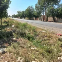 زمین باغی ۳۶۰ متر