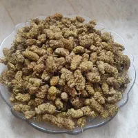 توت خشک درجه یک