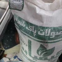 بزر یونجه