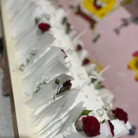 تابان کیک