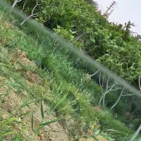 فروش خانه باغ ویلایی تگمیل به فروش میرسید