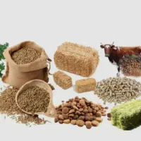 یونجه،گندم،جو،ذرت